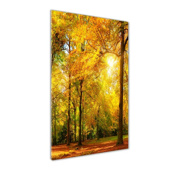 Acrylbild vertikal Wald im Herbst