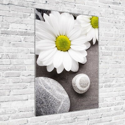 Bild auf Acrylglas vertikal Gerbera