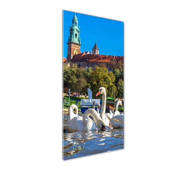 Acrylbild vertikal Krakau, Polen