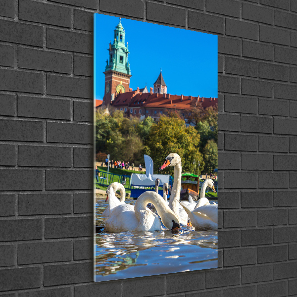 Acrylbild vertikal Krakau, Polen