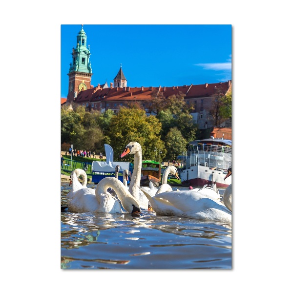 Acrylbild vertikal Krakau, Polen