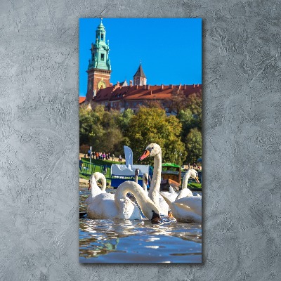 Acrylbild vertikal Krakau, Polen