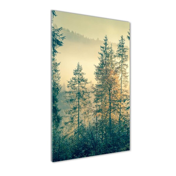 Bild auf Acrylglas vertikal Nebel über dem Wald