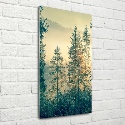 Bild auf Acrylglas vertikal Nebel über dem Wald