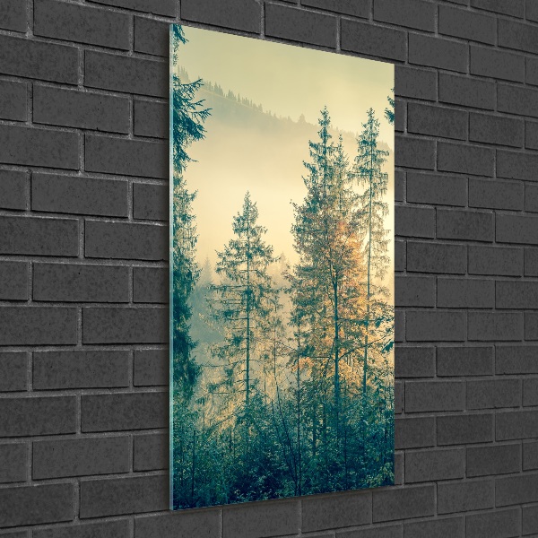Bild auf Acrylglas vertikal Nebel über dem Wald