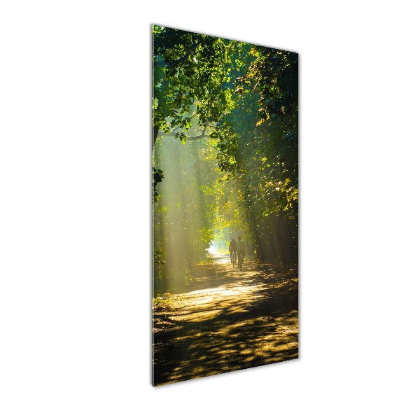 Plexiglasbilder vertikal Pfad im Wald