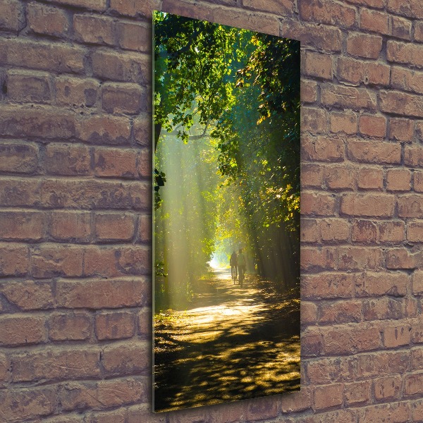 Plexiglasbilder vertikal Pfad im Wald