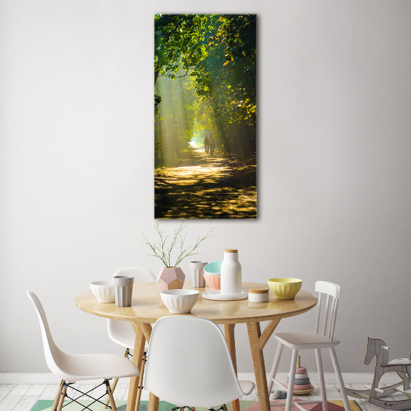 Plexiglasbilder vertikal Pfad im Wald