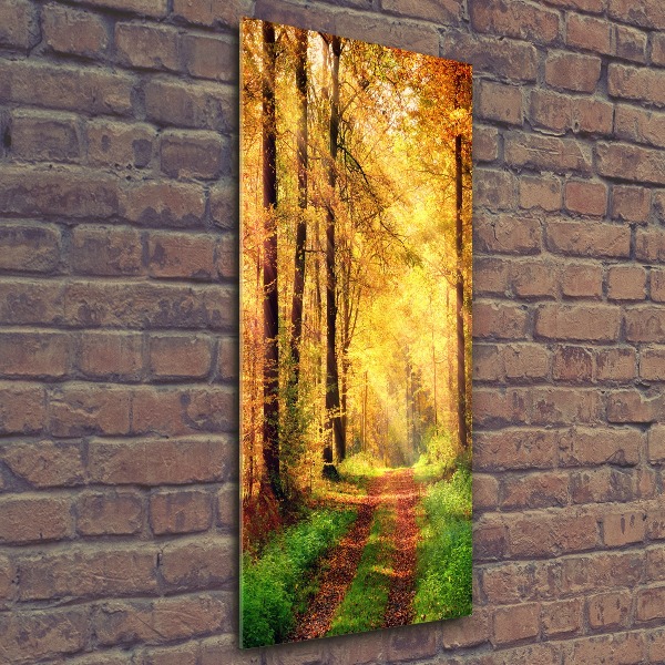 Bild auf Acrylglas vertikal Wald im Herbst