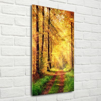 Bild auf Acrylglas vertikal Wald im Herbst