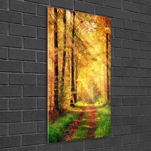 Bild auf Acrylglas vertikal Wald im Herbst