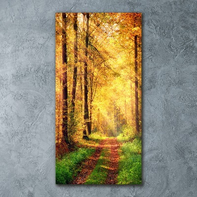 Bild auf Acrylglas vertikal Wald im Herbst