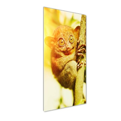 Bild auf Acrylglas vertikal Geisterkoboldmaki