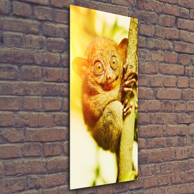 Bild auf Acrylglas vertikal Geisterkoboldmaki