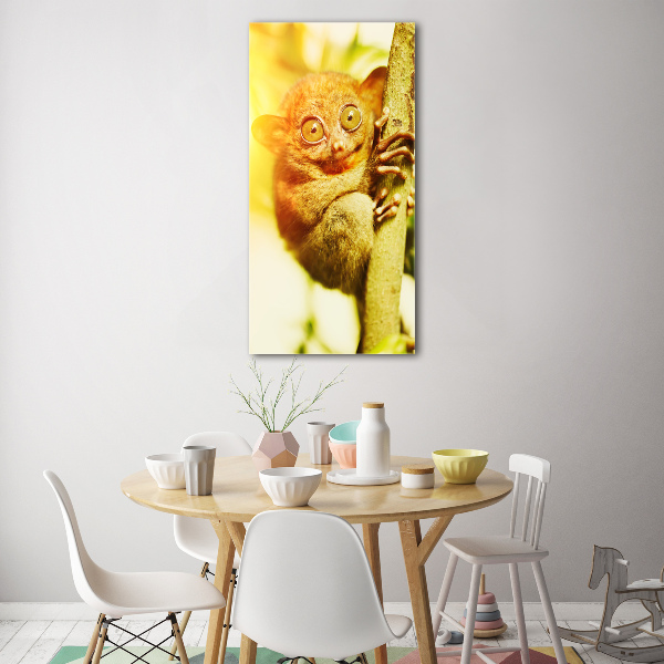 Bild auf Acrylglas vertikal Geisterkoboldmaki