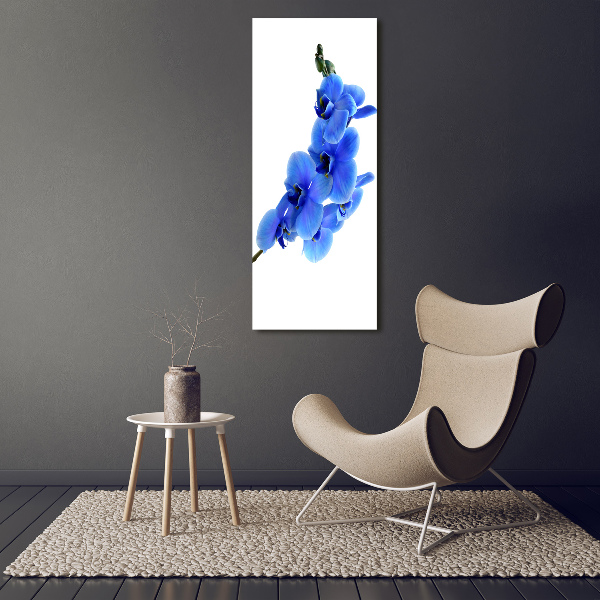 Acrylbild vertikal Blaue Orchidee