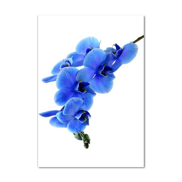 Acrylbild vertikal Blaue Orchidee