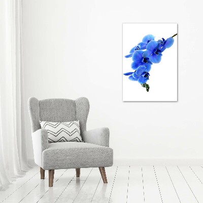 Acrylbild vertikal Blaue Orchidee