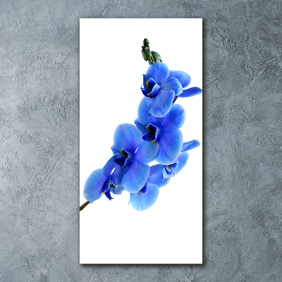 Acrylbild vertikal Blaue Orchidee