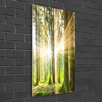Bild auf Acrylglas vertikal Die Sonne im Wald