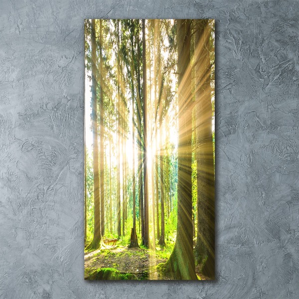 Bild auf Acrylglas vertikal Die Sonne im Wald