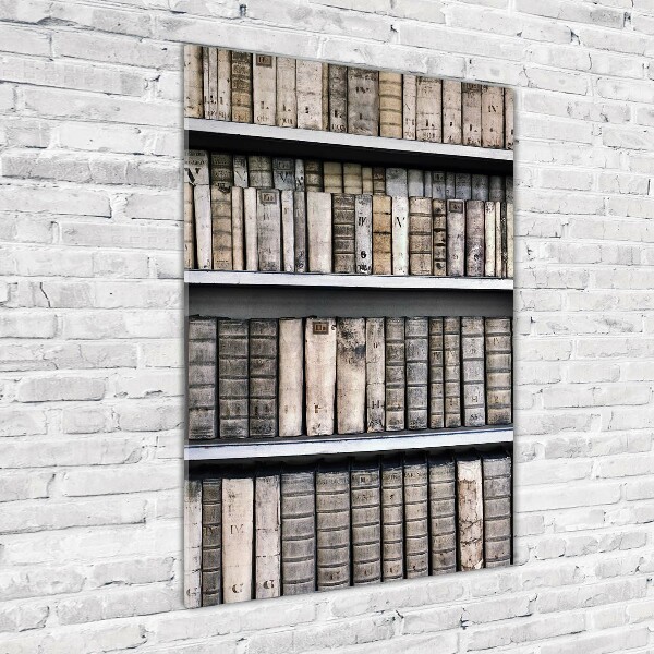 Plexiglasbilder vertikal Bücherregal