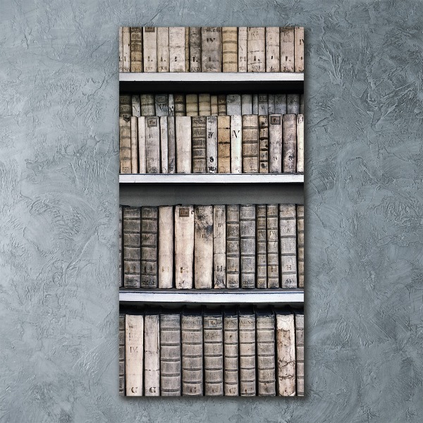 Plexiglasbilder vertikal Bücherregal