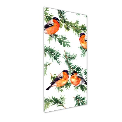 Bild auf Acrylglas vertikal Rotkehlchen und Nadelbäume