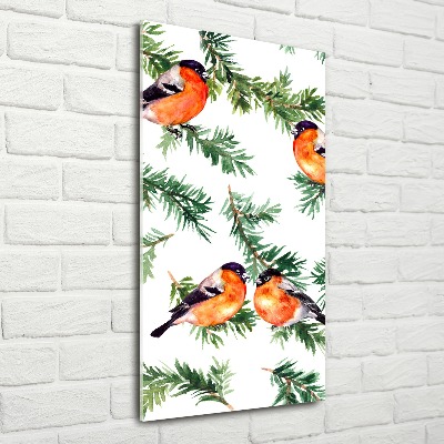 Bild auf Acrylglas vertikal Rotkehlchen und Nadelbäume