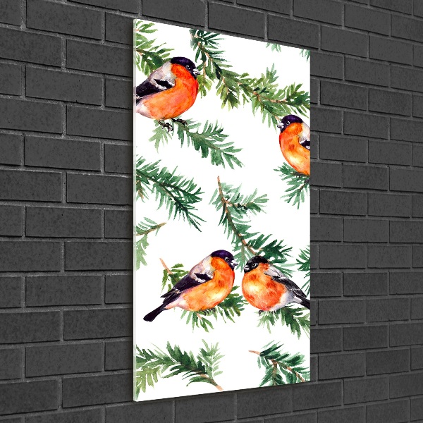 Bild auf Acrylglas vertikal Rotkehlchen und Nadelbäume