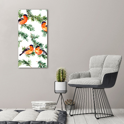 Bild auf Acrylglas vertikal Rotkehlchen und Nadelbäume