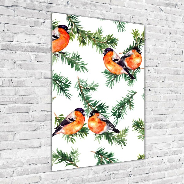 Bild auf Acrylglas vertikal Rotkehlchen und Nadelbäume
