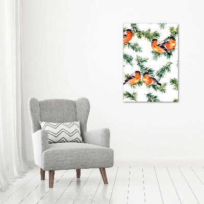 Bild auf Acrylglas vertikal Rotkehlchen und Nadelbäume