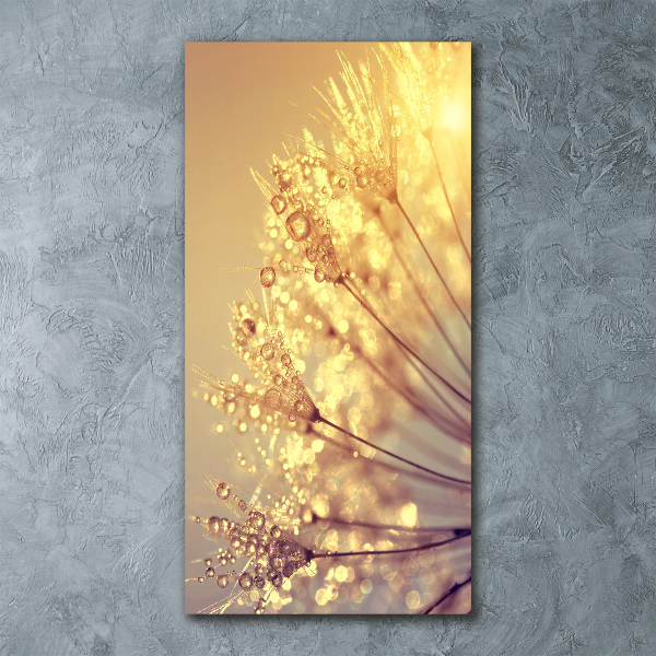 Plexiglasbilder vertikal Löwenzahnsamen