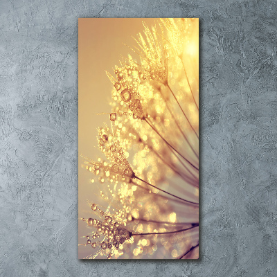 Plexiglasbilder vertikal Löwenzahnsamen