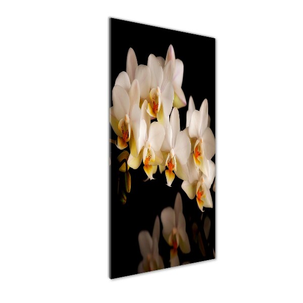 Bild auf Acrylglas vertikal Orchidee
