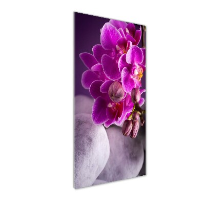 Plexiglasbilder vertikal Rosa Orchidee