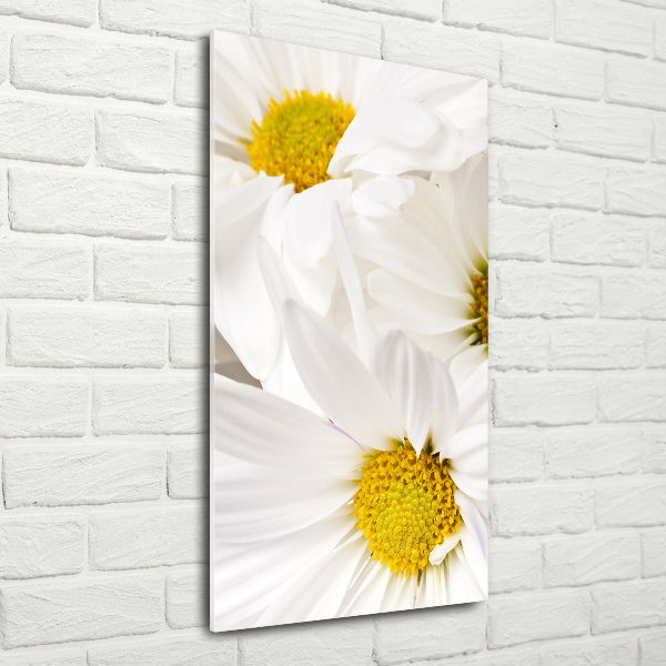 Acrylbild vertikal Gänseblümchen