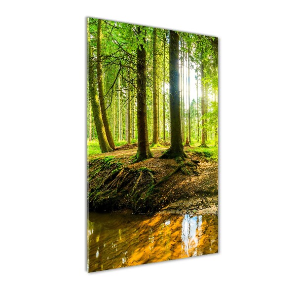 Bild auf Acrylglas vertikal Ein Bach im Wald