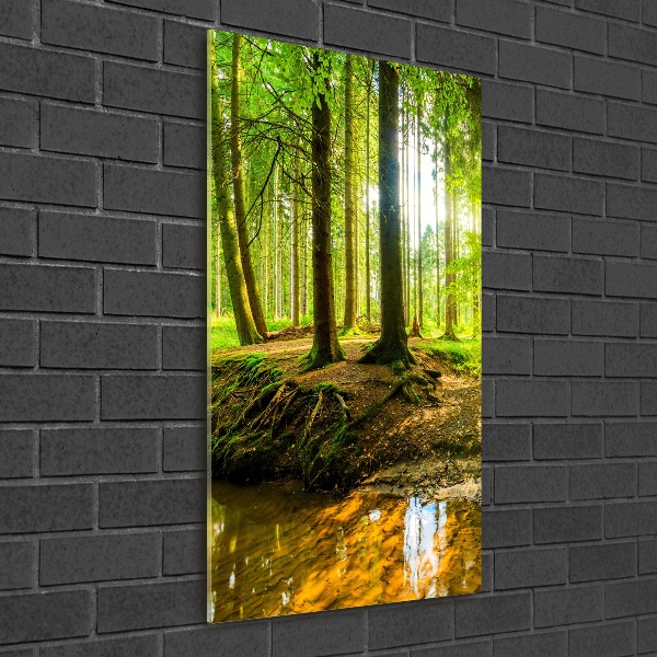Bild auf Acrylglas vertikal Ein Bach im Wald