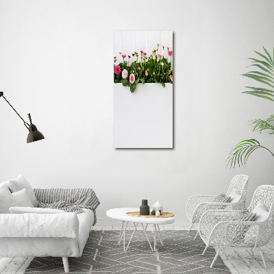 Bild auf Acrylglas vertikal Rosa Gänseblümchen