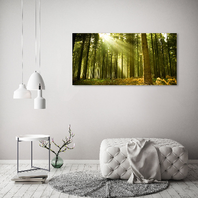 Wandbild Kiefernwald