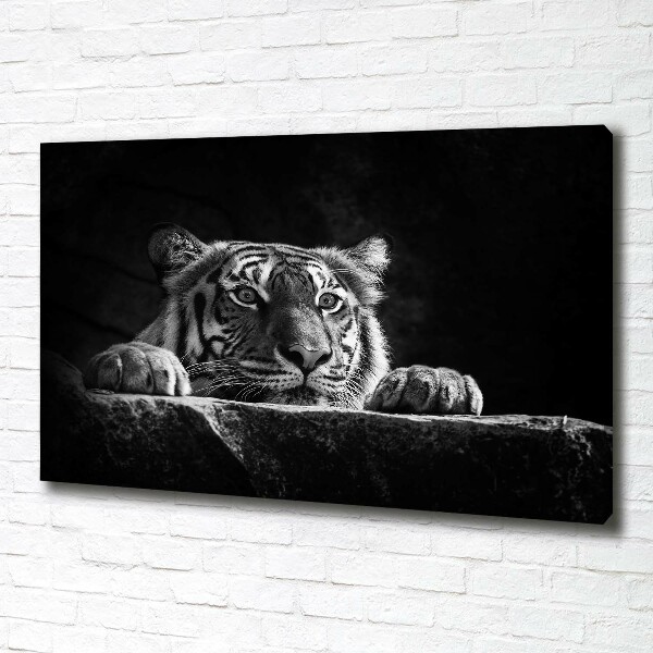 Wandbild Tiger