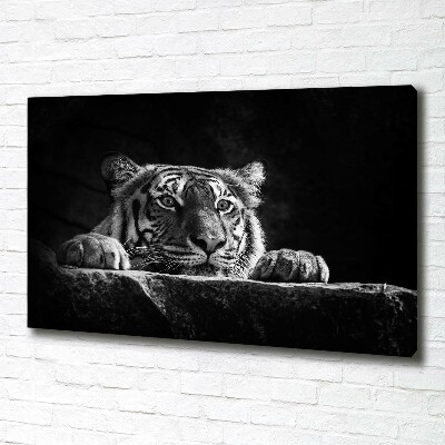 Wandbild Tiger