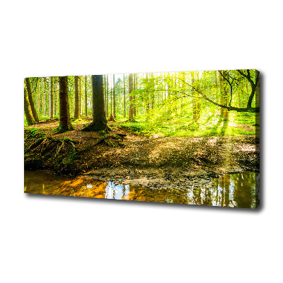 Wandbild Sonnenstrahlen im Wald