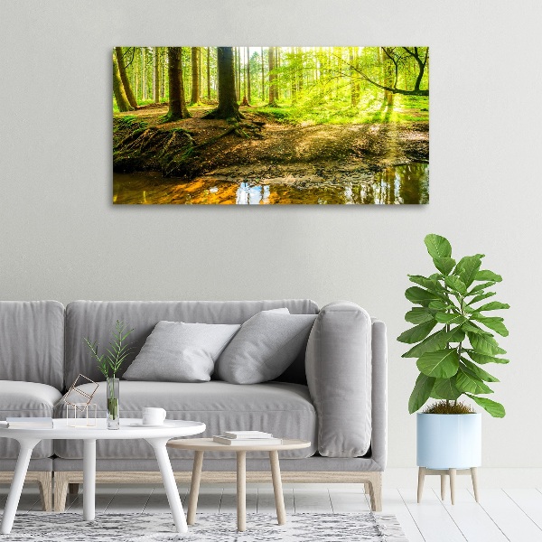 Wandbild Sonnenstrahlen im Wald