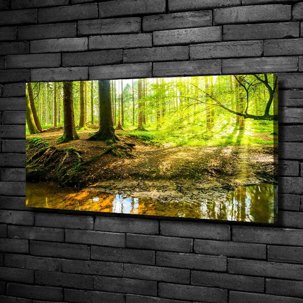 Wandbild Sonnenstrahlen im Wald