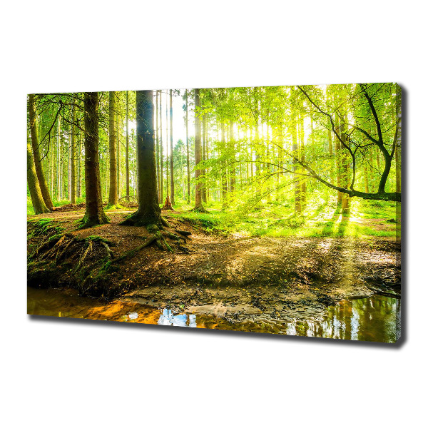 Wandbild Sonnenstrahlen im Wald