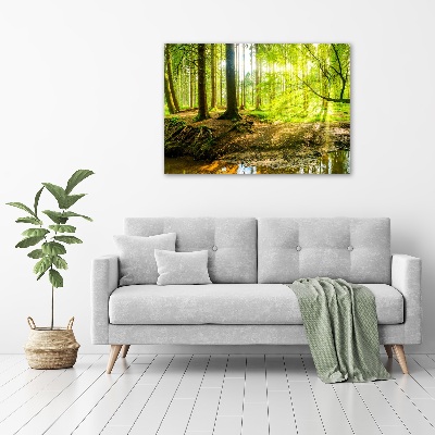 Wandbild Sonnenstrahlen im Wald