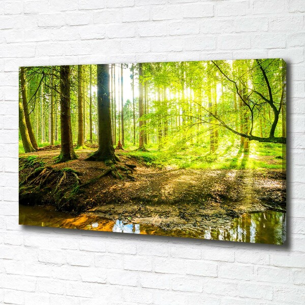 Wandbild Sonnenstrahlen im Wald